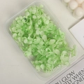 Light green preserved hydrangea petals in a transparent gift box for DIY floral crafts - 5g / Light Green