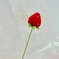 Handmade crochet strawberry flower ornament in vibrant red and green yarn - Strawberry