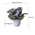 Artificial calathea plant in white ceramic pot, size 19x22cm for desk decor - Small Pot + Purple Feather Leaf