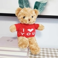 Light brown teddy bear plush in a red I Love You sweater sitting on books - Brown Bear - Cable Knit Red I Love You Sweater / 30cm