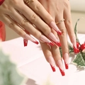 JP1914-Red White Snowflake French