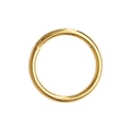 Polished 316L stainless steel segment nose ring in a vibrant golden finish - Gold