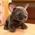 Dark grey French Bulldog plush toy with realistic features and soft velvet texture - 28cm / Grey Bulldog