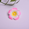 Pink and yellow gradient frangipani flower hair clip with pearl center decoration - Pink Flower Head + Pearl [5cm]