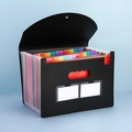 Black accordion file folder with rainbow pockets, carbon fiber texture, and double labels - Black Grid Rainbow Inner [25 Grids]