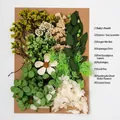 DIY dried flower material kit for handmade crafts and home decor with assorted botanicals - Flower Pack A17