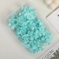 Preserved light blue hydrangea petals in a transparent box for DIY craft projects - 5g / Navy Blue