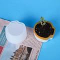 Stampo in silicone per vasi di succulente che mostra l'artigianato in resina e lo stampo - Stampo a Conchiglia per Vaso di Succulente