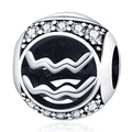 Macro-opname van zilveren Waterman-bedel met witte zirkonia en golfvormig symbool - Waterman
