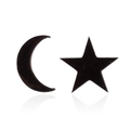 Orecchini a perno asimmetrici con luna e stella nere e finitura lucida minimalista - Nero Opaco