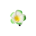 Handmade plumeria hair clip with white and green gradient petals and yellow center - 6cm / Green