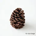 Piña natural individual de 10-12 cm para manualidades y decoración de árboles de Navidad - 10-12cm Color Natural (Individual)