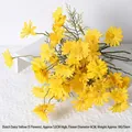 Aster Yellow