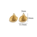 Set of two golden stainless steel shell charms for DIY jewelry with size measurements - Gold Shell-536
