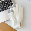 Winter knitted touchscreen gloves in white and gray with fashion patch detail - Touchscreen Vertical Label White