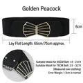 Elastic black waist belt with golden shell buckle for women dresses in 6cm width - Golden Peacock Style (Black)