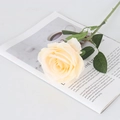 Artificial light yellow velvet rose with green leaves on a magazine for home decor - Large Round Champagne