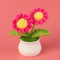 Detailed macro view of handmade pink crochet daisy flower in a small white pot - Rose Red