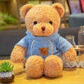 Hoodie Bear - Blue 30 Centimeters In Length