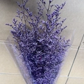 Preserved purple Limonium flower bouquet wrapped in clear plastic for DIY floral crafts - Purple (120g)
