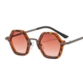 Occhiali da sole punk esagonali con montatura tartarugata e lenti arancioni - C9 Montatura Leopardata Lente Tè Sfumata