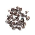 Close-up of decorative pine cones with snowy tips for DIY Christmas ornaments - White-tipped Pine Flower-2-3cm
