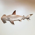 Hammerhead shark wall art decoration made of polished steel with metallic finish - 50cm / Shark Decor B (Hammerhead)