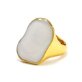 Minimalist 18K gold-plated titanium steel ring with irregular white shell inlay - US 6 / Gold White Mother of Pearl