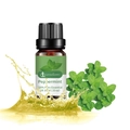 Peppermint essential oil 10ml in amber glass bottle with fresh mint leaves and liquid splash - Peppermint (single Ingredient)
