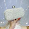 Elegante borsa da sera con perle bianche e chiusura a scatto per cerimonie e eventi formali - Argento