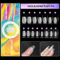 Size chart showing 15 sizes of ultra-thin matte press-on nails with full dimensions - Style 02(02) / 300 Pcs