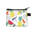 Cute fruit print coin purse with watermelon and pineapple patterns on white background - Colorful Tropical Fruit