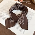 Détail de la texture du foulard en soie marron à motifs cachemire sur un livre d'art - Marron