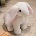 Soft white long-eared bunny plush toy with pink inner ears on a cozy beige carpet - White Rabbit