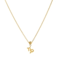 Golden Capricorn zodiac pendant necklace crafted in stainless steel on white background - Capricorn / Pendant Only