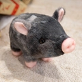 Cochon en peluche gris foncé avec groin rose et détails rayés doux sur le dos - 23CM / Gris clair