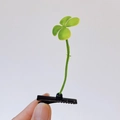 Fermaglio per capelli creativo a germoglio verde con trifoglio su una molletta nera - Quadrifoglio