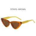 Retro cat-eye sunglasses with stripe-brown frame and tea lenses in a bold trendy style - Stripe Brown Frame Tea Lenses