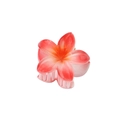Red gradient frangipani flower hair claw clip with matte translucent finish for women - 4cm / Gradient Bright Red