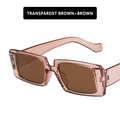 Retro rectangular sunglasses in transparent brown frame with dark brown lenses - Transparent Tea Frame Tea Lens
