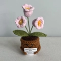 Pink knitted flower pot with smiling face and emotional support plant text tag - 3-Head Lily of the Valley - Pink