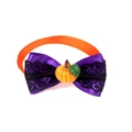Halloween-Haustierschleife in Lila mit Spitze, Kürbis-Detail und orangem Gummiband - Lila Schwarze Spitze Kürbis Stil VN435-7