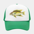 Detailansicht der grün-weißen Mesh-Trucker-Kappe mit farbenfrohem Fisch-Grafikdruck - Grün Weiß Realistischer Fisch (3#色)