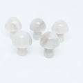 Set of five polished white and grey natural agate stone mushroom ornaments for decor - Agate