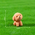 Mini figurine de caniche orange en résine pour micro-paysage DIY, hauteur 2,8cm - 9# Chien Teddy