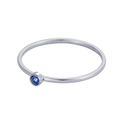 Minimalist silver stainless steel ring featuring a small blue round cubic zirconia stone - US 5 / Blue - Steel Color Band