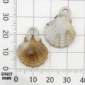 Pendenti a conchiglia in acrilico marrone sfumato e bianco crema con anelli - 1 Pezzo Conchiglia in Acrilico 18x23mm