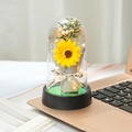 Sunflower in glass dome with LED lights and black base for creative gift decor - Grey Sunflower Light + Gift Bag + Teacher's Day Card