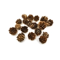 Top view of natural brown dried pine cones in various sizes for DIY holiday crafts - Natural Larch-3-4cm