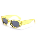 Fashionable snake-style cat eye sunglasses with yellow frames and silver metal accents - Transparent Yellow Frame Black Gray Lens